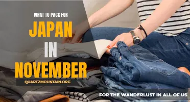 Essential Items to Pack for a Trip to Japan in November