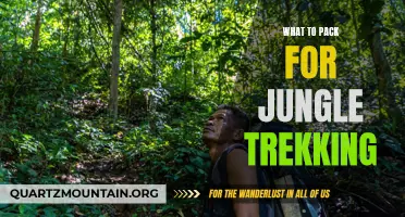 Essential Items to Pack for Jungle Trekking Adventures