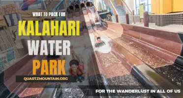 Essential Items to Pack for a Visit to Kalahari Water Park