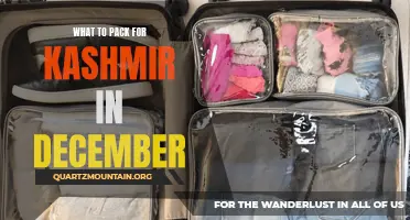 Essential Items to Pack for a Memorable Trip to Kashmir in December