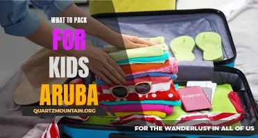 Essential Items to Pack for a Fun-Filled Aruba Vacation with Kids