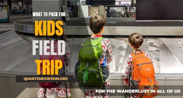 Essential Items to Pack for a Kids Field Trip