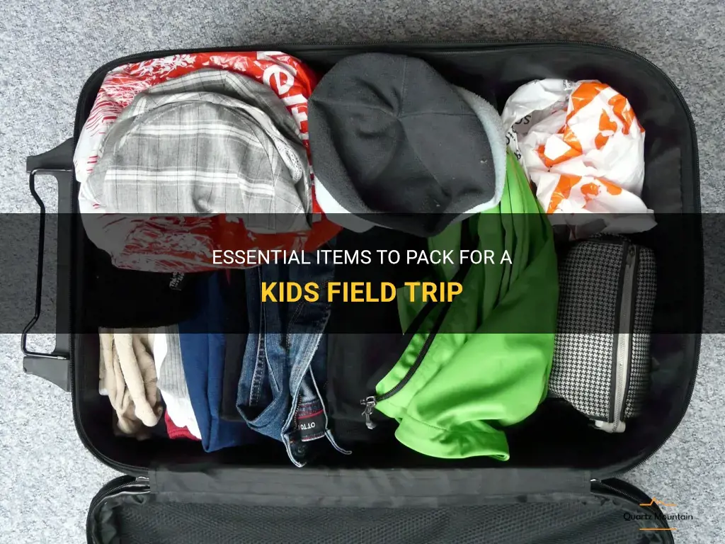 what to pack for kids field trip