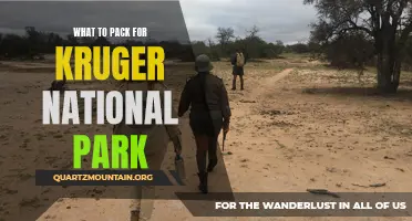 Essential Items to Pack for Your Kruger National Park Adventure