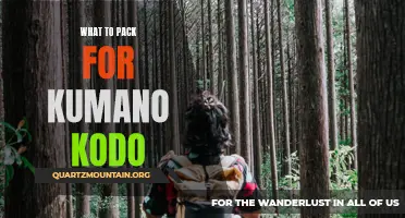 Essentials to Pack for the Scenic Kumano Kodo Trail