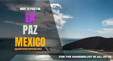 Essential Items to Pack for a Trip to La Paz, Mexico