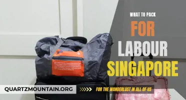 The Essential Items to Pack for Labour in Singapore