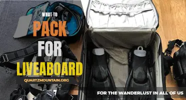 Essential Items to Pack for a Liveaboard Adventure