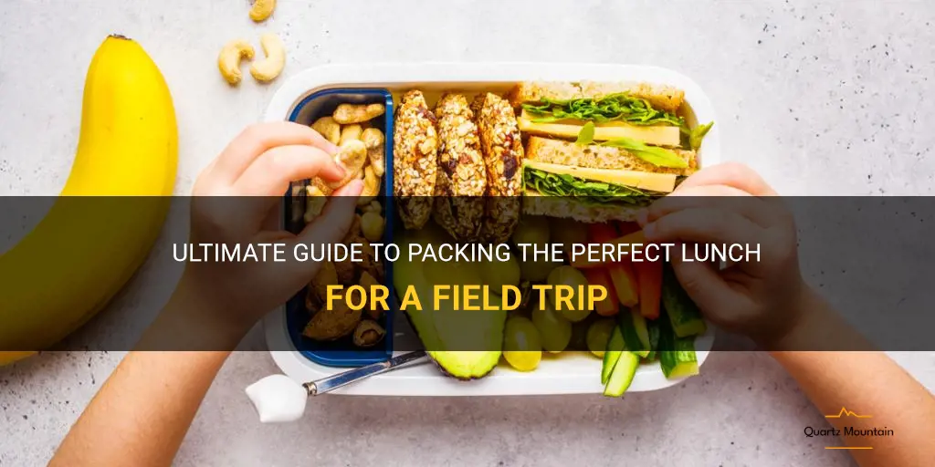 what to pack for lunch for a field trip