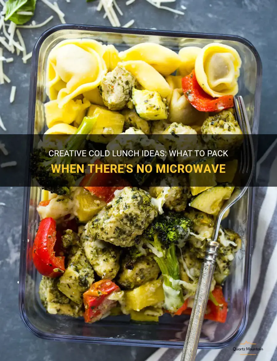 what to pack for lunch no microwave
