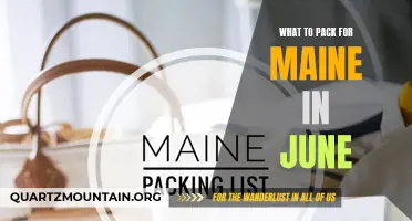 Essential Packing Tips for Visiting Maine in June