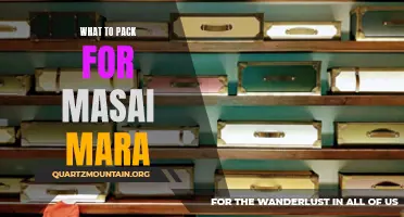 Essential Items to Pack for Your Masai Mara Safari Adventure