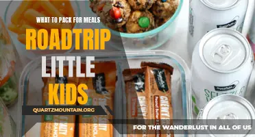Essential Meal-Packing Tips for a Road Trip with Little Kids