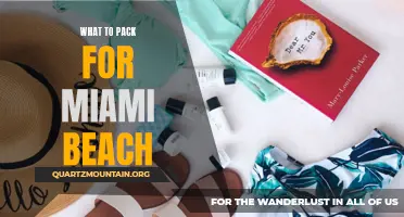 Essential Items to Pack for a Trip to Miami Beach