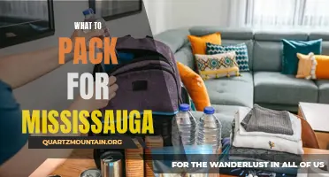 Essential Items to Pack for Your Trip to Mississauga