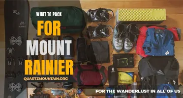 Essential Items to Pack for Mount Rainier Hiking Adventures