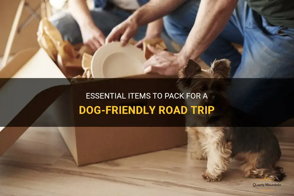 what to pack for move with dog in car
