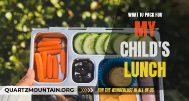 The Ultimate Guide to Packing a Healthy and Delicious Lunch for Your Child
