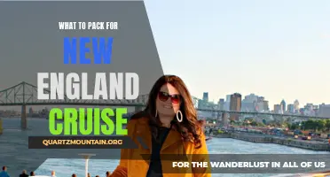 Essential Items to Pack for a New England Cruise Experience