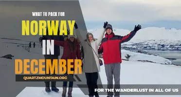 Essential Items for Your Winter Trip to Norway in December