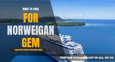 Essential Items to Pack for Your Norwegian Gem Cruise Adventure