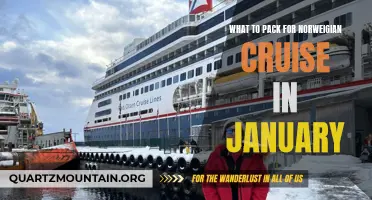 What to Include in Your Packing List for a Norwegian Cruise in January