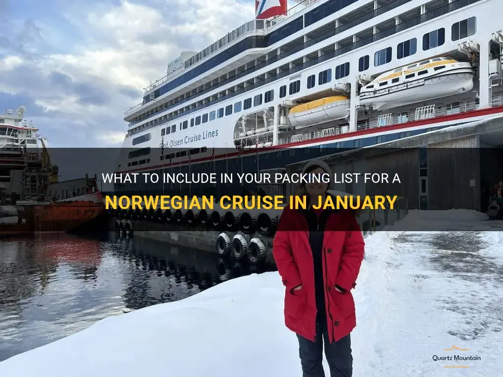 what to pack for norweigian cruise in january