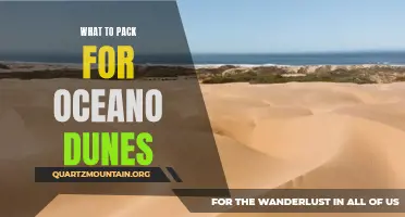 Essential Items to Pack for a Trip to Oceano Dunes