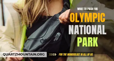 Essential Items to Pack for Your Trip to Olympic National Park
