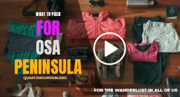 Essential Items to Pack for Your Trip to the Osa Peninsula