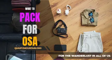 Essential Items to Pack for Your Osa Travel Adventure
