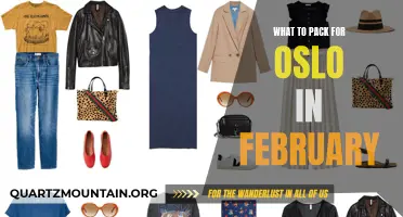 Essential Items for Your February Trip to Oslo: What to Pack