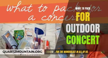 Essential Items to Bring for an Outdoor Concert