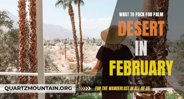 Essential Items to Pack for a Trip to Palm Desert in February