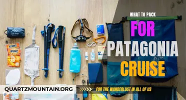 Essential Items to Pack for an Unforgettable Patagonia Cruise