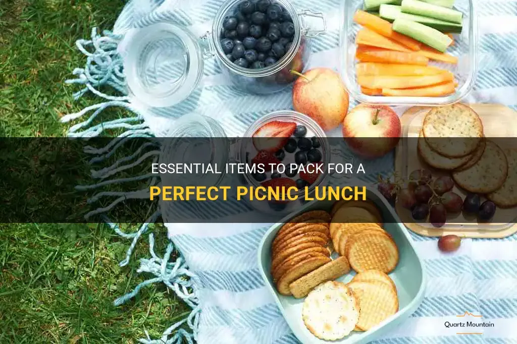 what to pack for picnic lunch