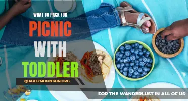 Essential Items to Pack for a Picnic with Your Toddler