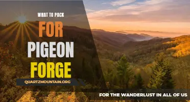 Essential Items to Pack for an Unforgettable Trip to Pigeon Forge