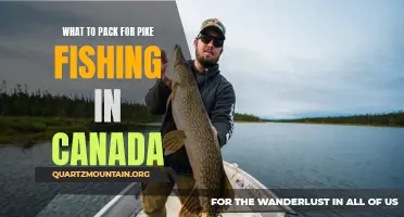 Essential Gear for Pike Fishing Adventures in Canada