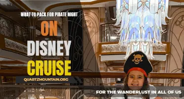 Ahoy Matey! What to Pack for Pirate Night on a Disney Cruise: A Swashbuckling Guide