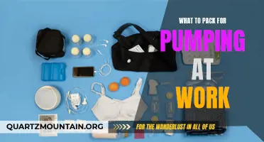 Essential Items to Pack for Pumping at Work: A Comprehensive Guide