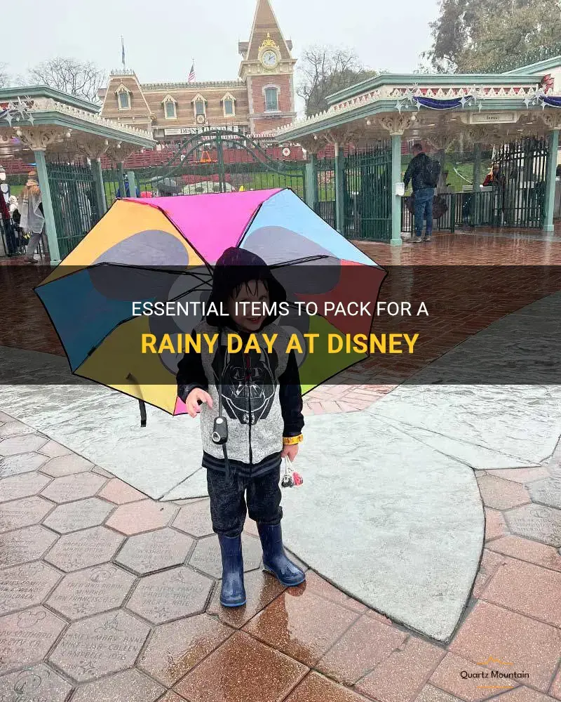 what to pack for rain at disney