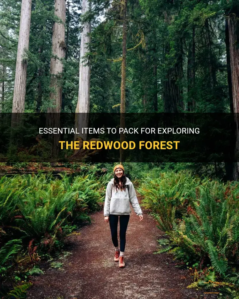 what to pack for redwood forest