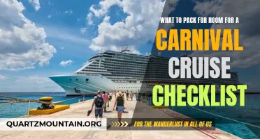 Essential Items to Include in Your Room Packing Checklist for a Carnival Cruise