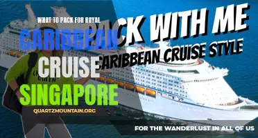 Essential Items to Pack for a Royal Caribbean Cruise from Singapore