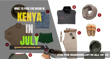 Essential Items to Pack for an Unforgettable Safari Adventure in Kenya in July