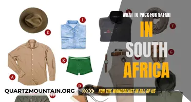 Essential Items to Pack for a Safari Adventure in South Africa