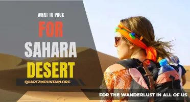 Essential Items to Pack for a Sahara Desert Adventure
