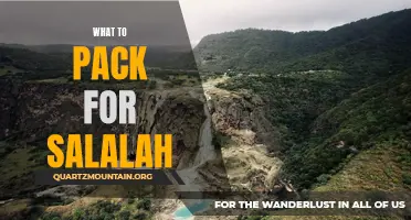 Essential Items to Pack for Your Trip to Salalah