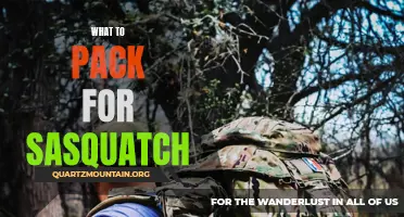 Essential Items to Pack for Your Sasquatch Adventure